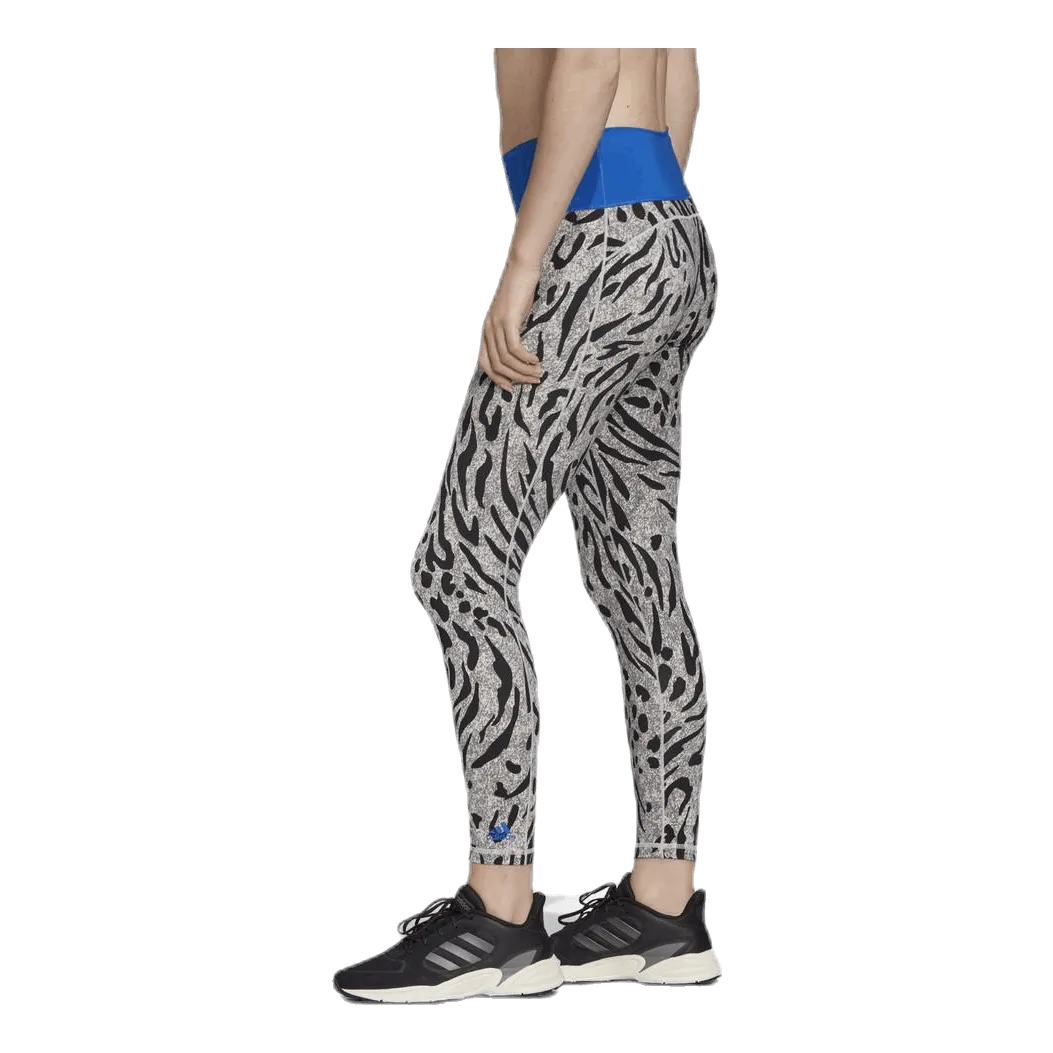 Adidas Believe This Tight P Blue/Grey