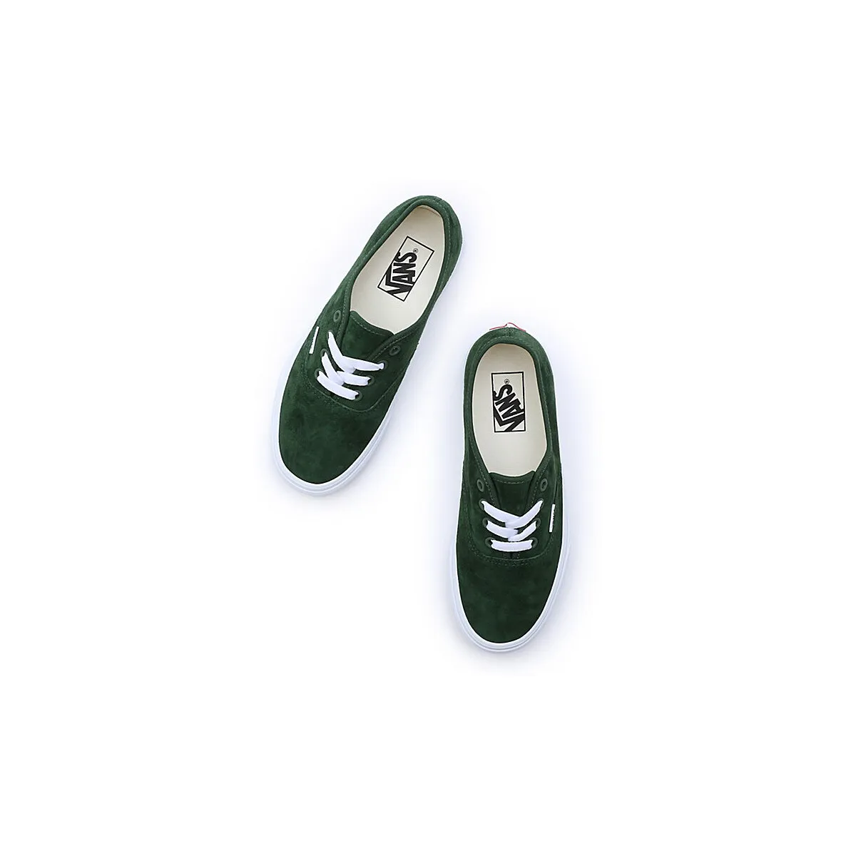 AUTHENTIC VN0009PVBXU VERT