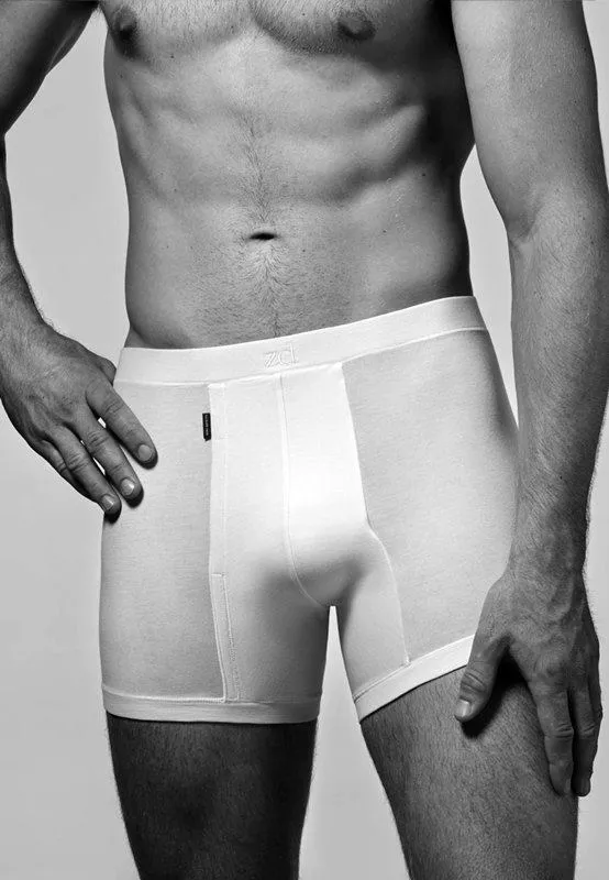 Boxer ZD Helios en gris