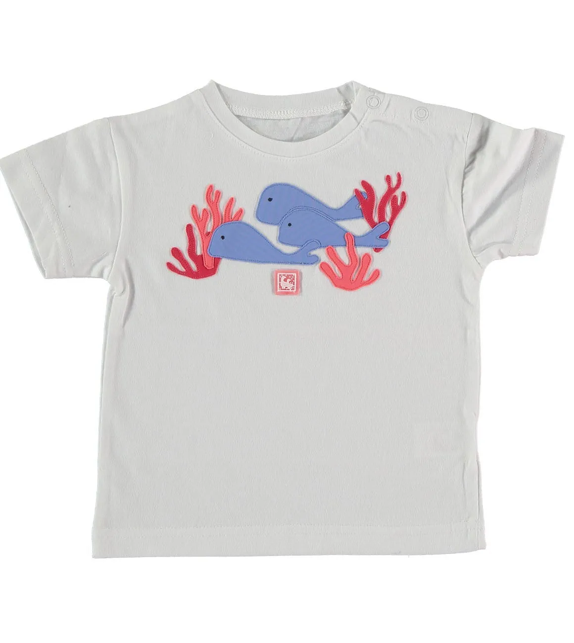 CAMISETA NIÑO CORAL