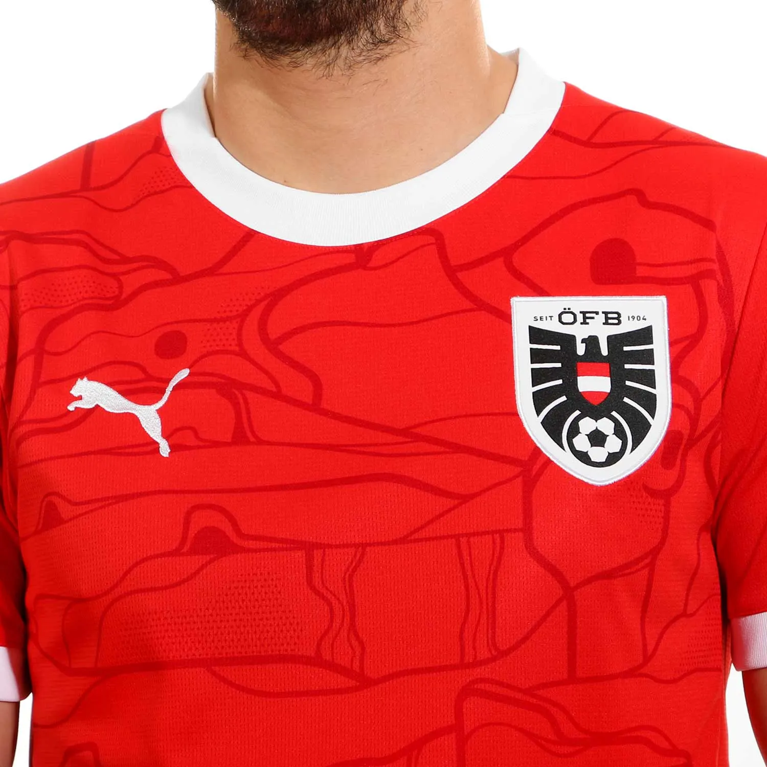 Camiseta Puma Austria 2024