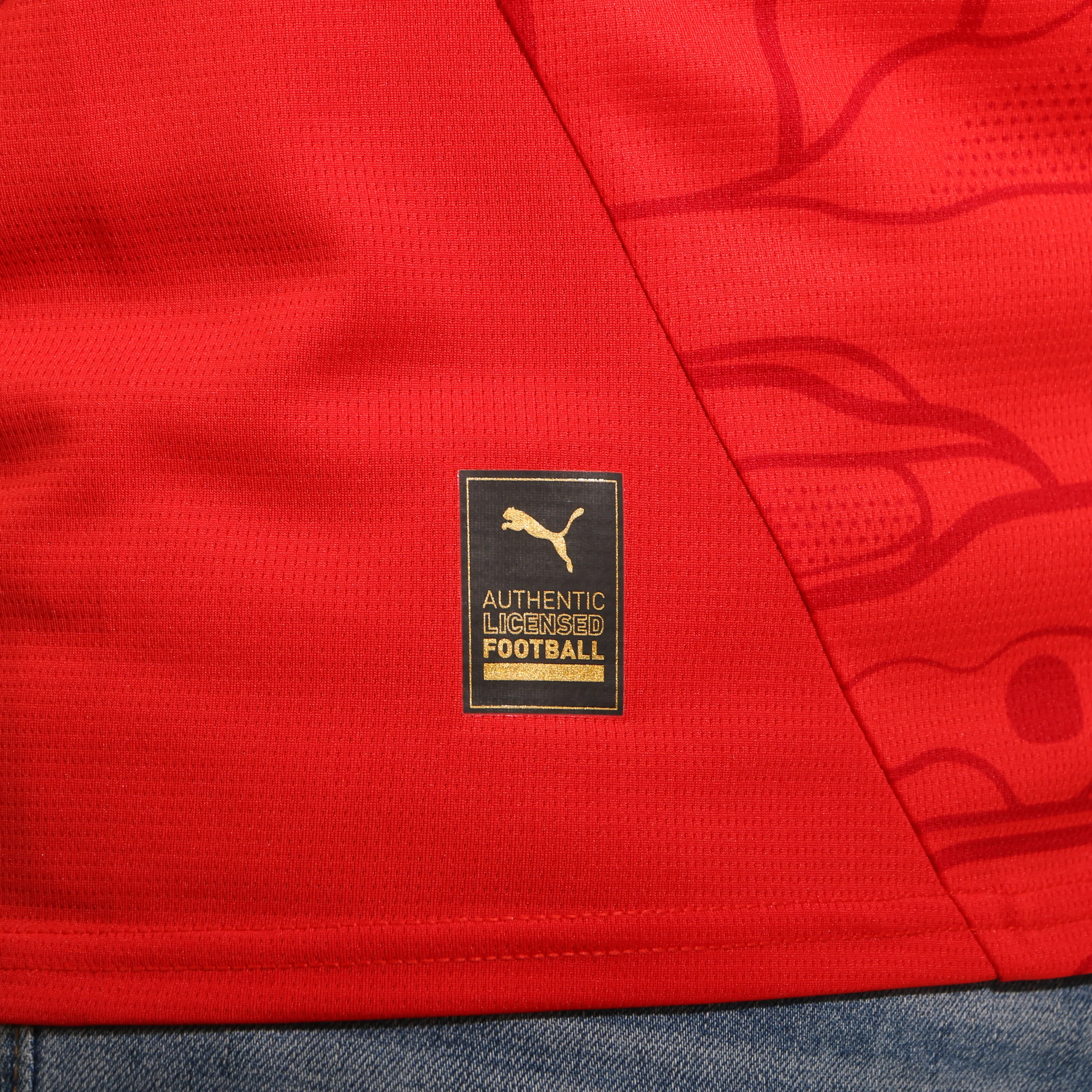 Camiseta Puma Austria 2024