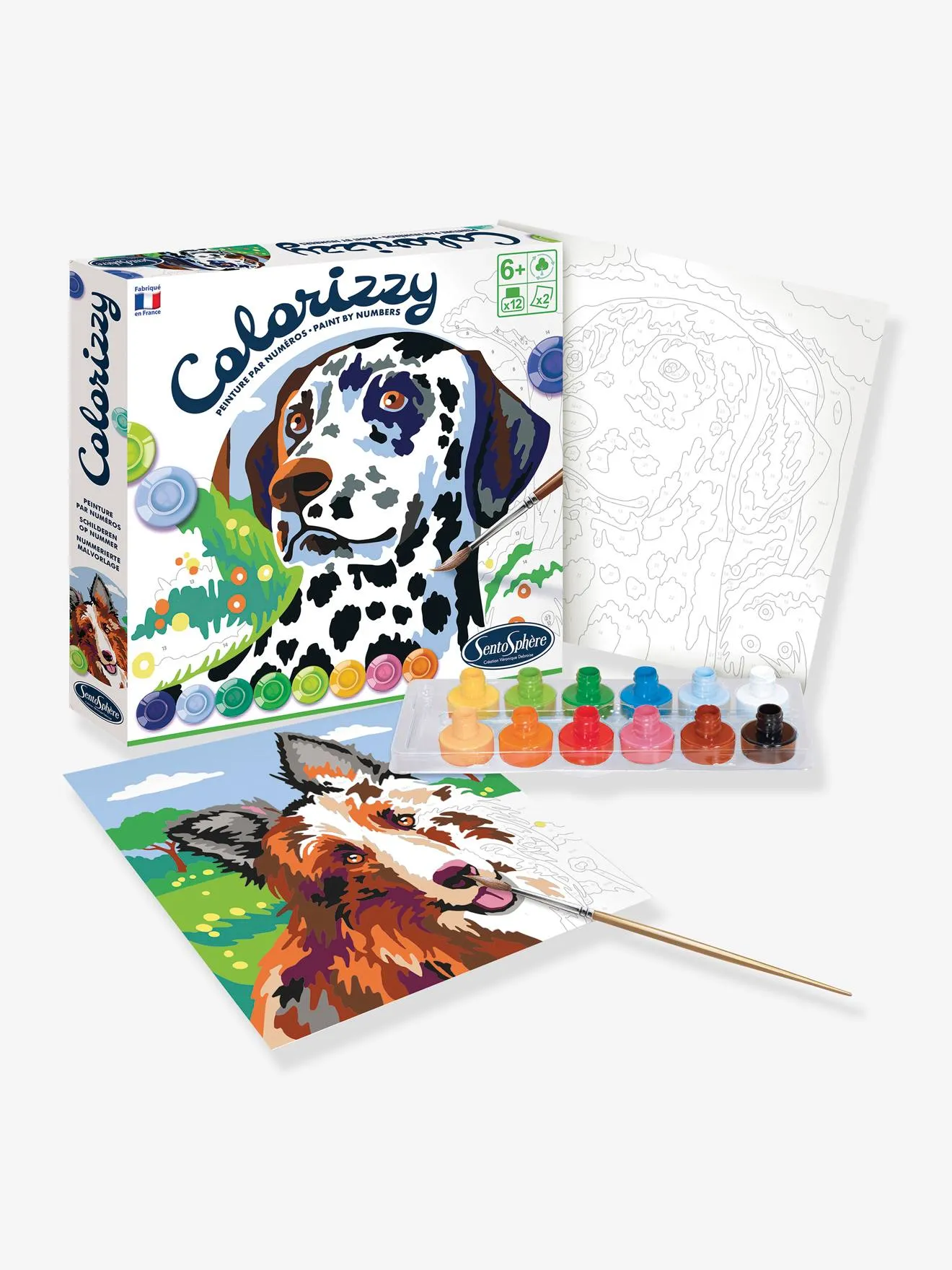COLORIZZY  SENTOSPHERE