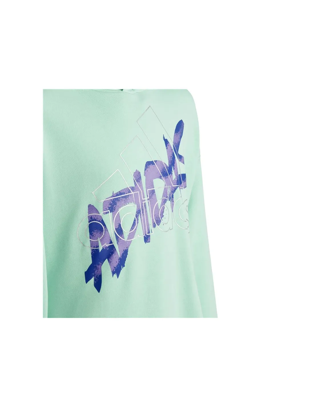 Sudadera adidas D Hd Infantil