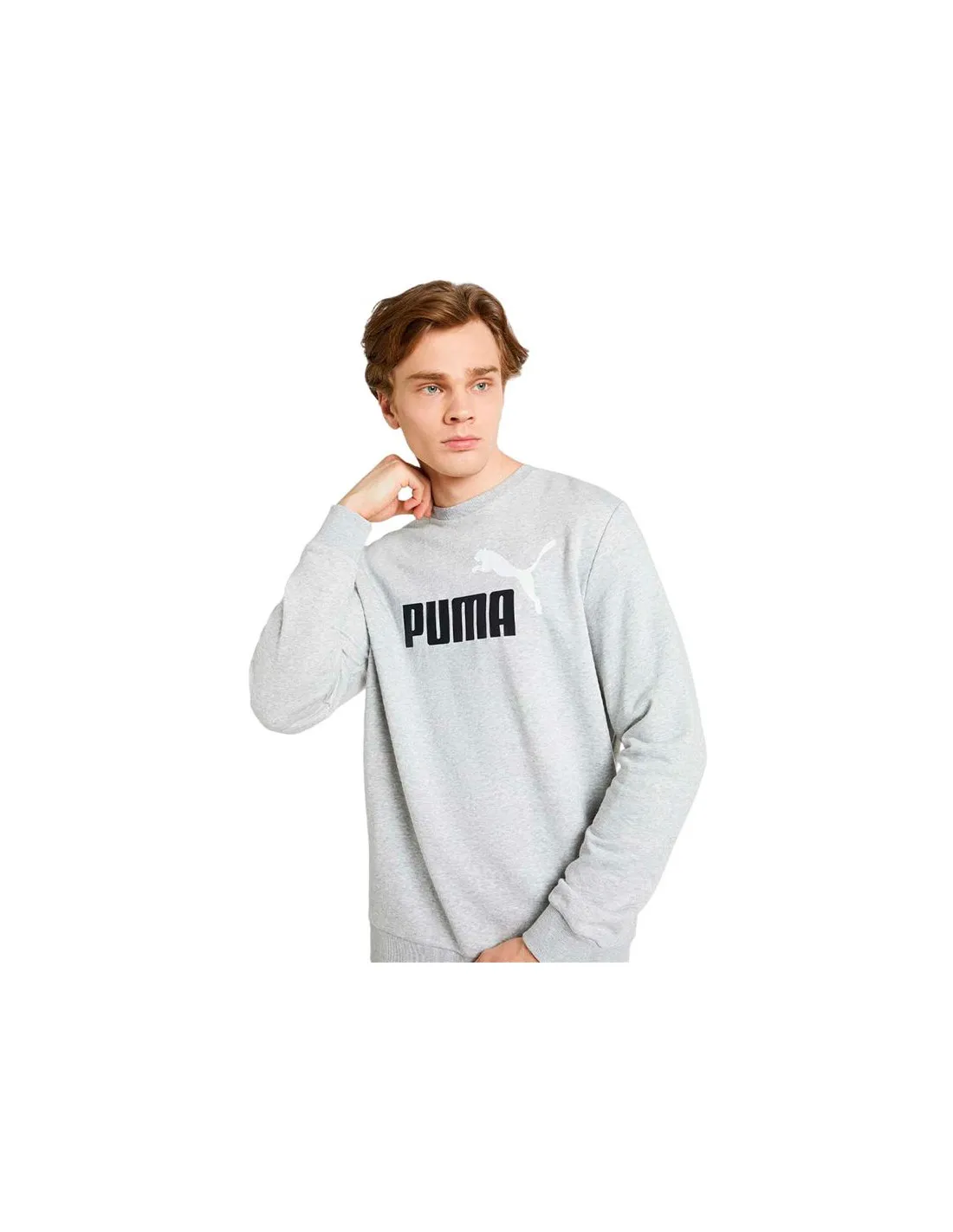Sudadera Puma Essentials+ 2 Col Big Hombre Gris