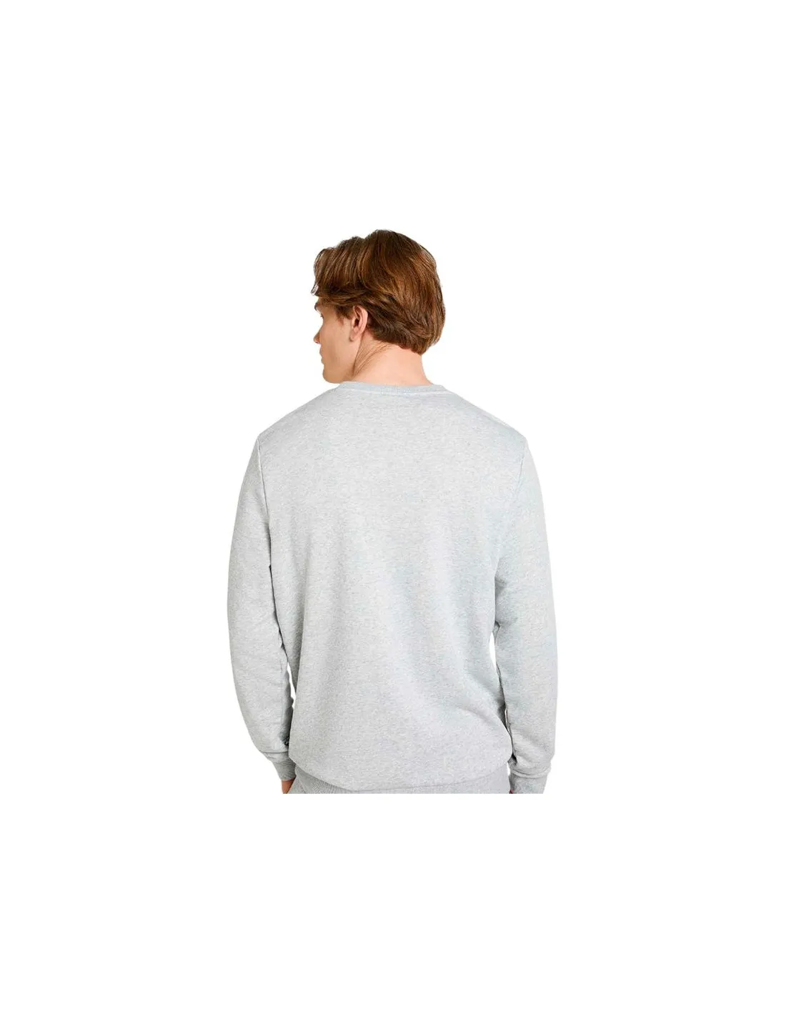 Sudadera Puma Essentials+ 2 Col Big Hombre Gris