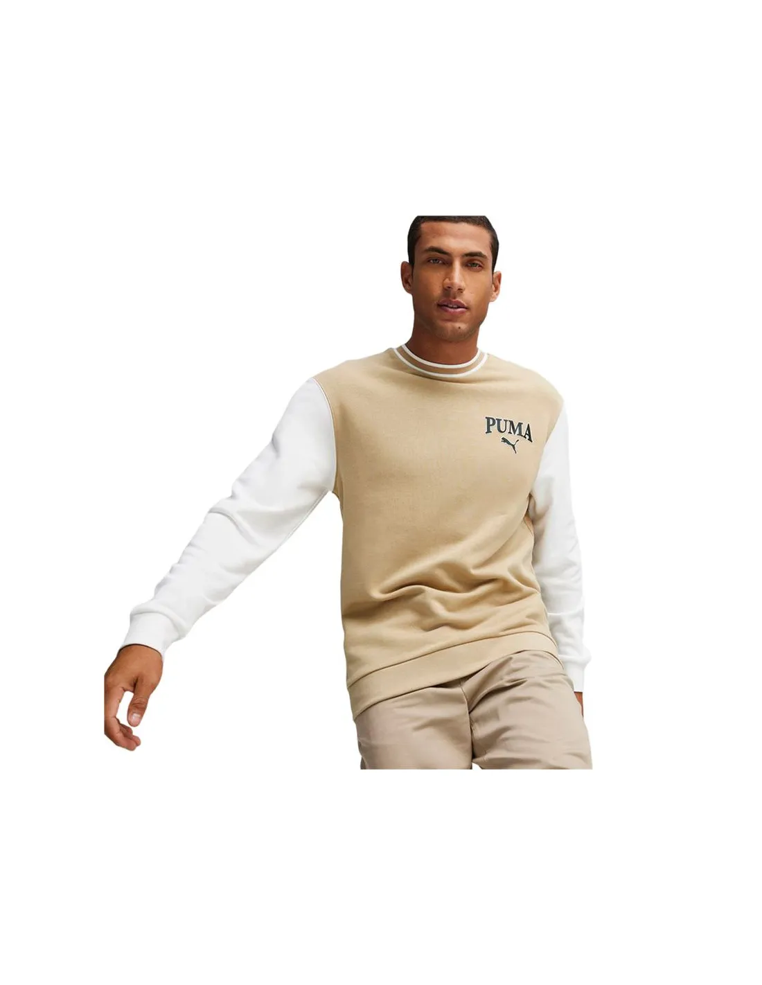 Sudadera Puma Squad Beige Hombre