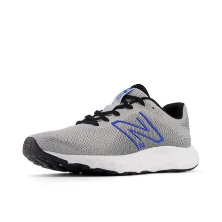 Zapatillas Hombre 420