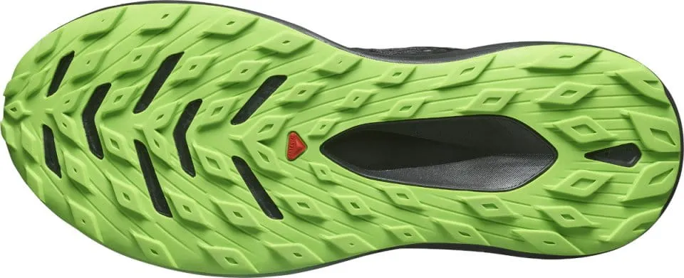 Zapatillas para trail Salomon GLIDE MAX TR
