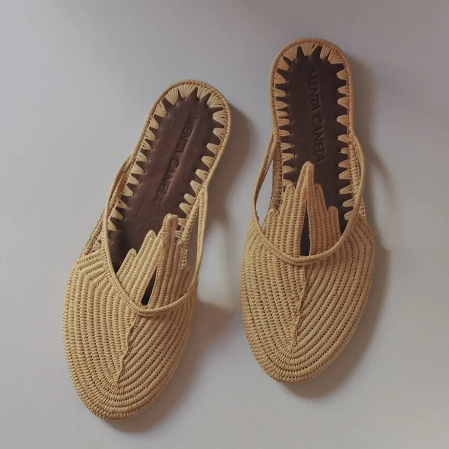 Zapato Lola